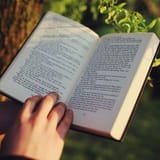 Open book with text, outdoor reading, writing, essay, story, note-taking, literacy, education, study, self-improvement.