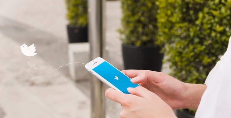 How Many Words In A Tweet? [A Word Count Guide]