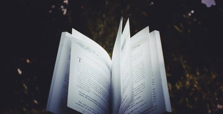 What Can Help Slow Down The Pacing Of A Story?