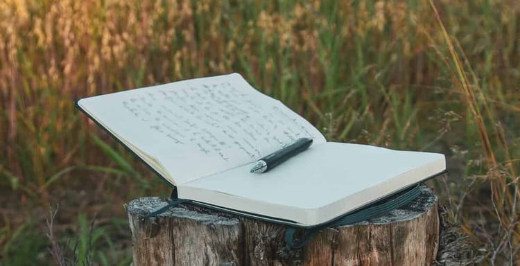Open notebook with handwritten notes and a pen resting on a tree stump in a peaceful outdoor setting.