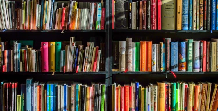 Alt text: Bookshelves filled with colorful books, emphasizing writing, reading, and word count tools.