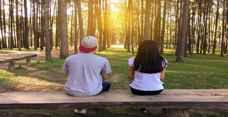 Childrens outdoor activity in tranquil forest setting.