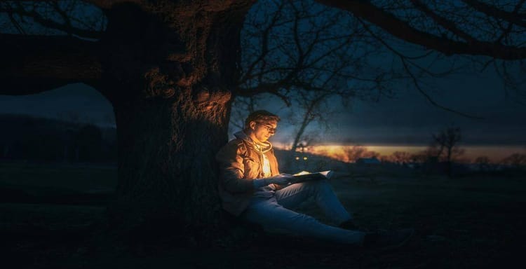 Alt text: Person reading a book under a tree at dusk, illuminated by a warm light.