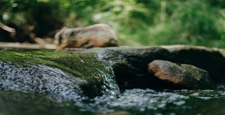 Close-up of a flowing stream with moss-covered rocks in a serene forest setting.