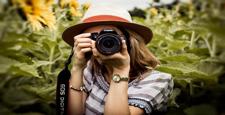 Photographer woman with camera capturing nature scene in sunflower field.