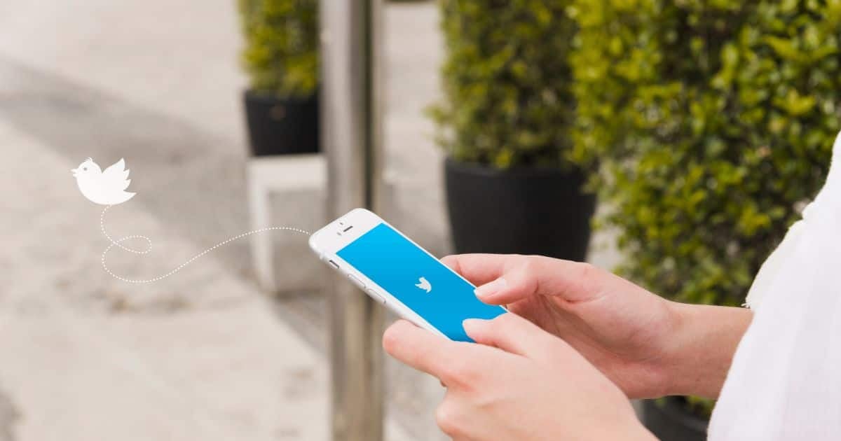 How Many Words In A Tweet? [A Word Count Guide]