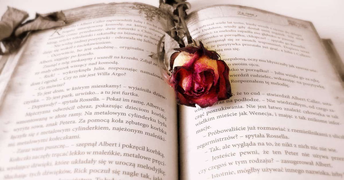 Dried pink rose on open old book, vintage reading, love story, nostalgic literature, floral decor.
