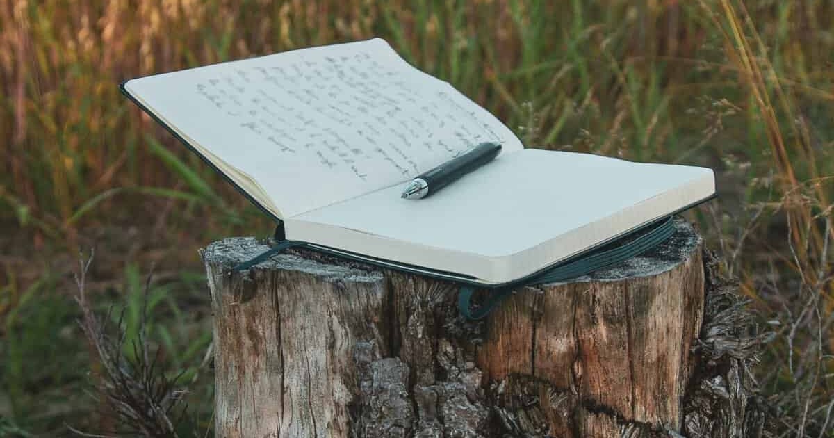 Open notebook with handwritten notes and a pen resting on a tree stump in a peaceful outdoor setting.