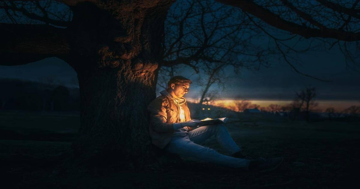 Alt text: Person reading a book under a tree at dusk, illuminated by a warm light.